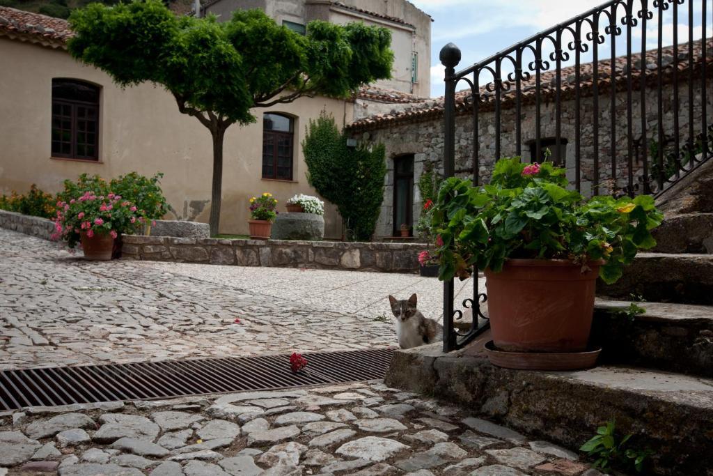 Вилла Il Vecchio Frantoio Scillato  Экстерьер фото